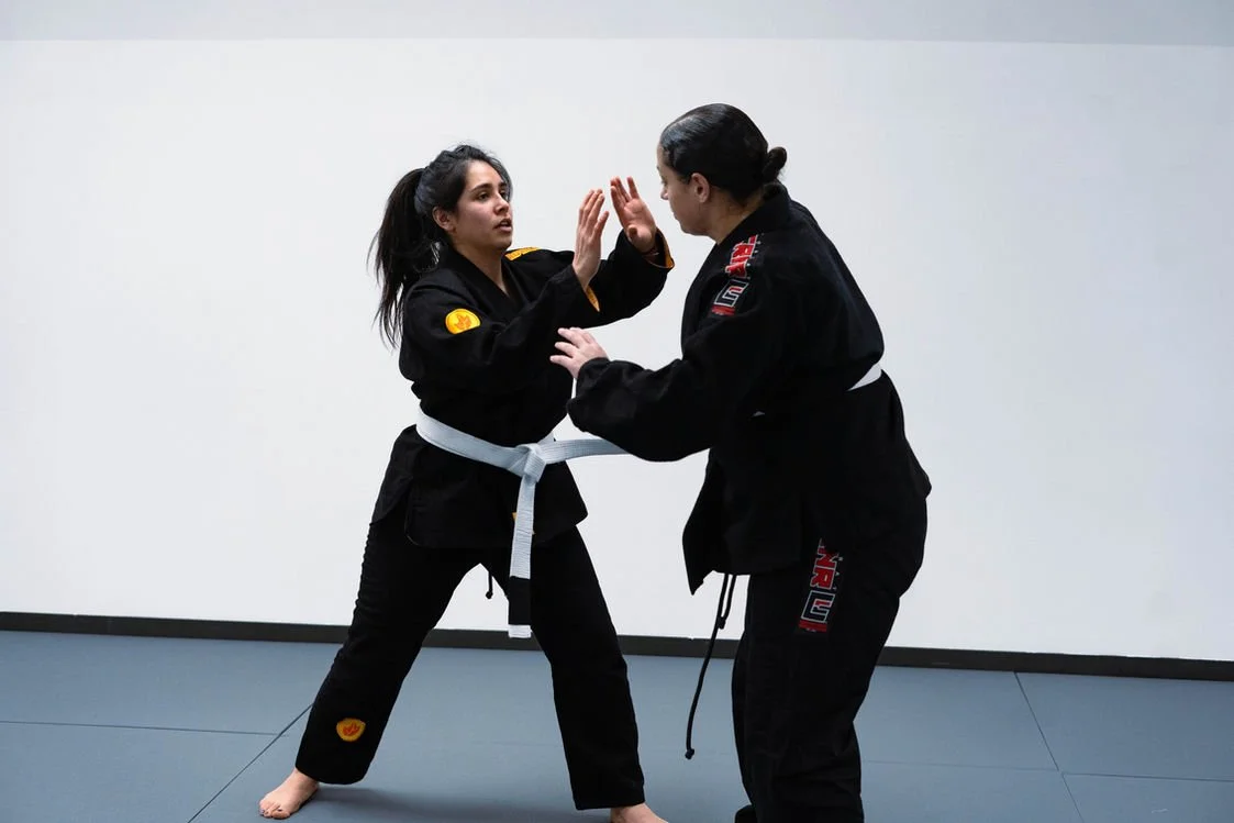 Artistic Jiu Jitsu School facility image