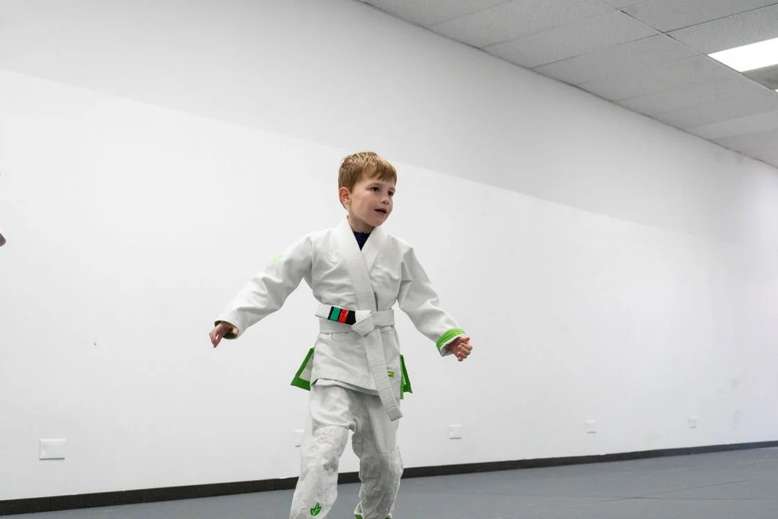 Artistic Jiu Jitsu School facility image