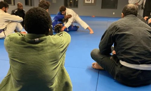 Bones Brazilian Jiu-Jitsu Academy facility image