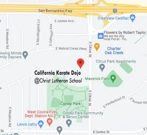 California Karate Dojo visual