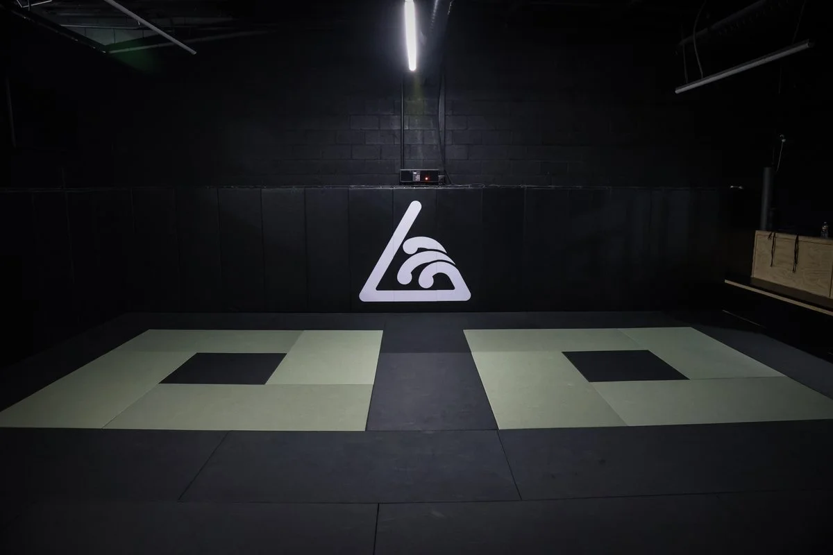 Flow State Jiu-Jitsu academy logo