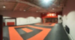 Hybrid Martial Arts visual