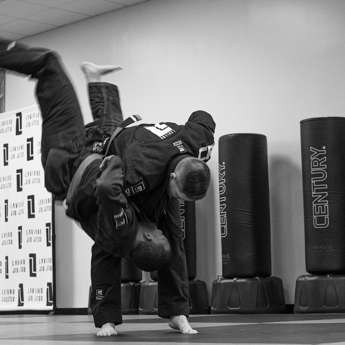 Laviano Jiu Jitsu visual