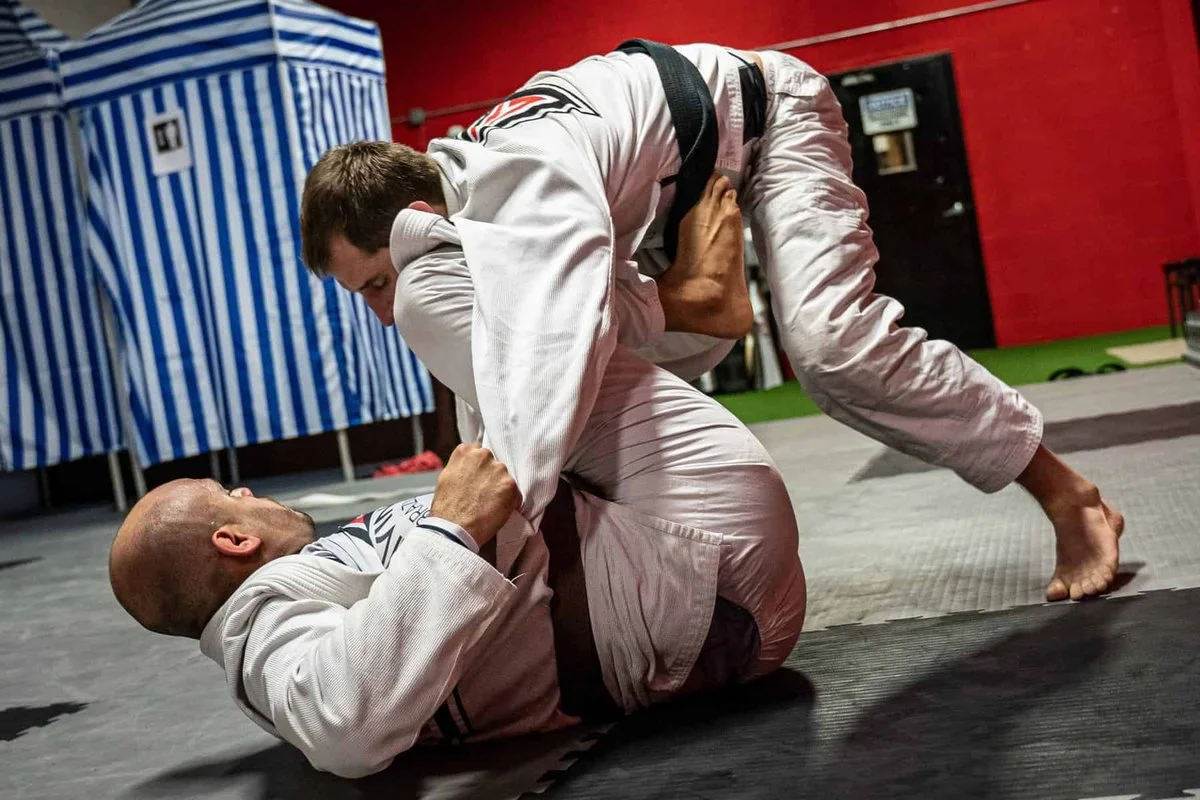Living Art Brazilian Jiu Jitsu academy logo