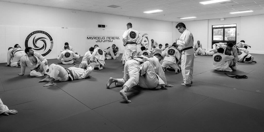 Marcelo Pereira Brazilian Jiu-Jitsu academy logo