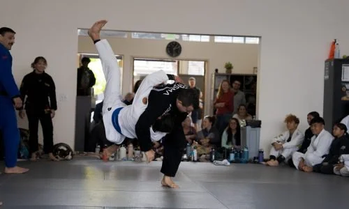 Mineiro BJJ academy photo