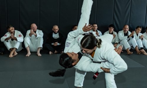 Mineiro BJJ academy photo
