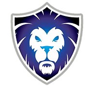 NEW ENGLAND TOP TEAM academy photo