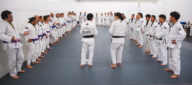 Alonzo Martial Arts academy logo