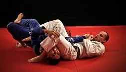 Tampa Jiu Jitsu academy logo