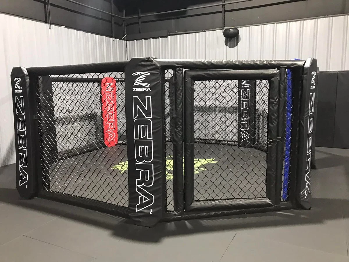 Team Impact Brazilian Jiu Jitsu & Kickboxing academy photo