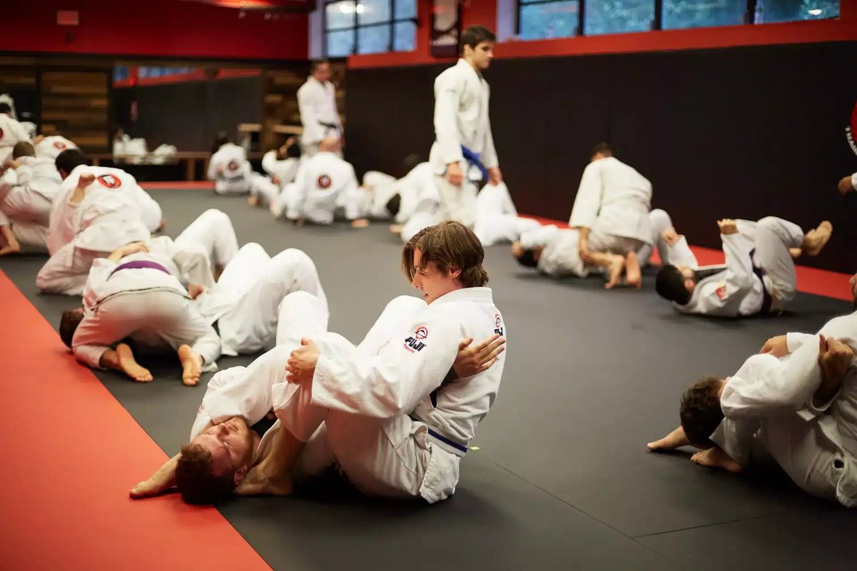Training Grounds Jiu-Jitsu & MMA academy logo