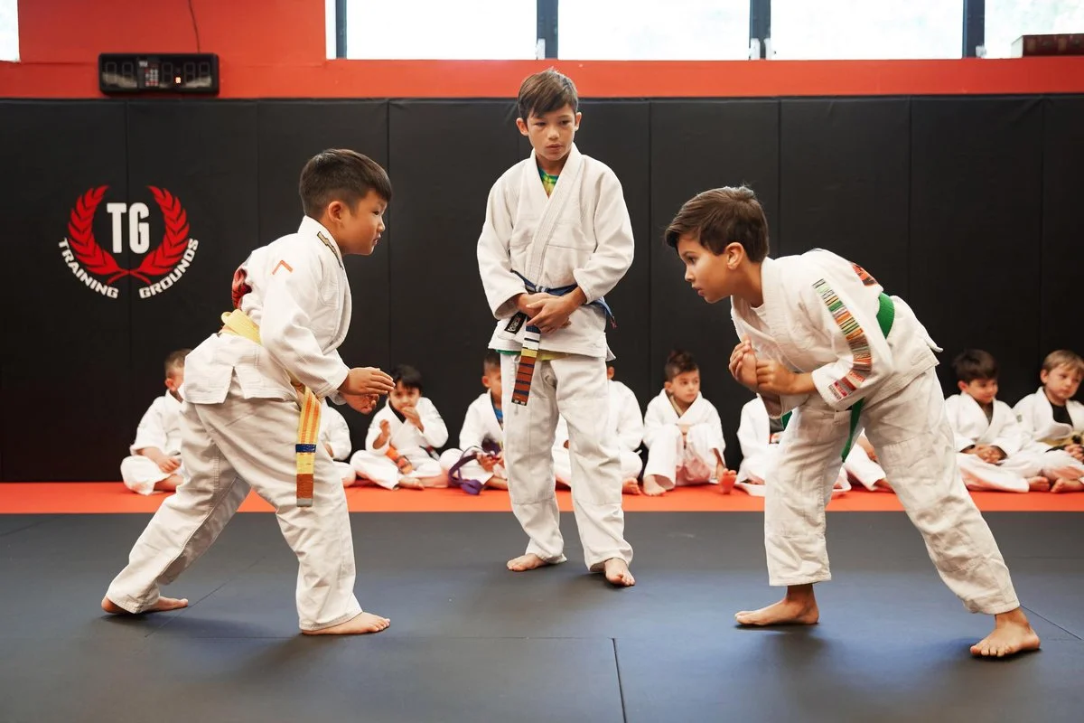 Training Grounds Jiu-Jitsu & MMA facility image