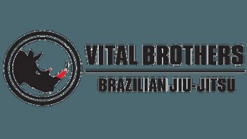 Vital Brothers BJJ NM visual