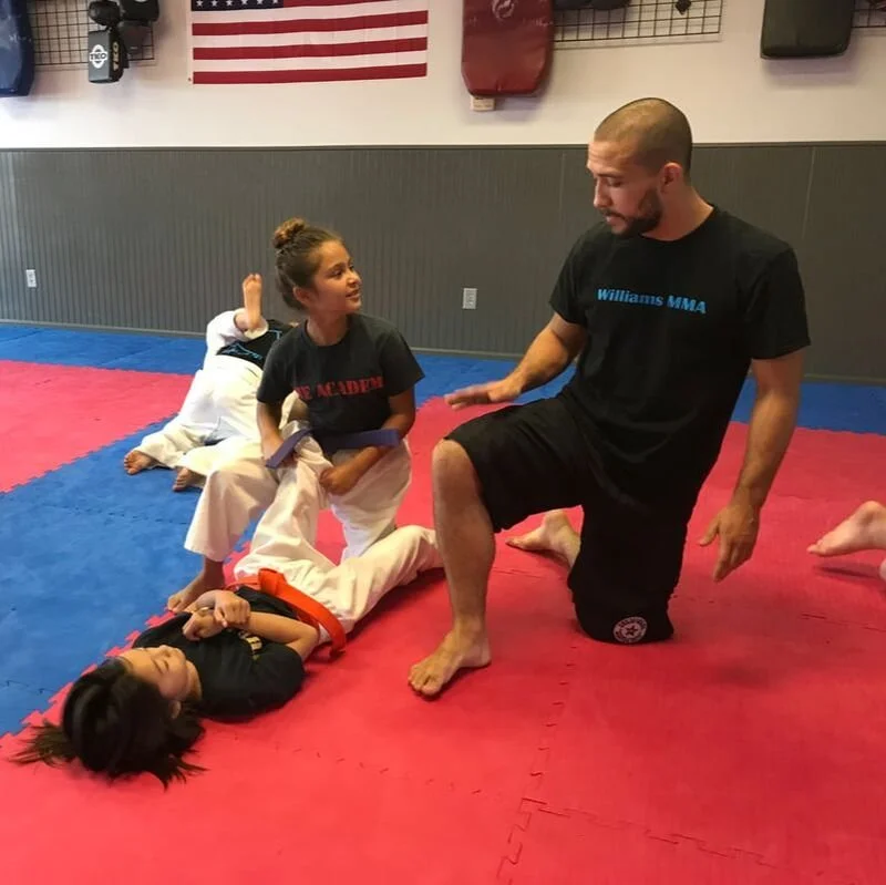 Williams MMA visual