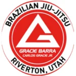 Gracie Barra St. Peters academy photo